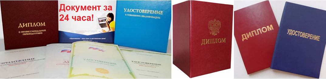 Сертификаты, свидетельства и удостоверения об окончании курсов и проф. подготовки